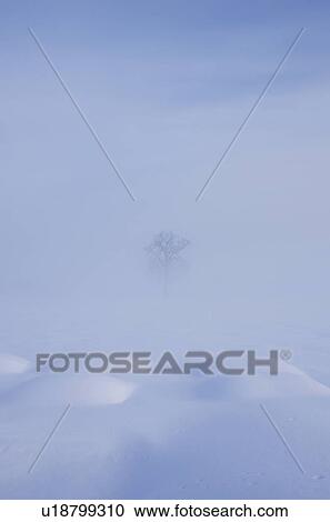 Winter Landscape View Large Photo Image Stock Image - Winter Landscape. Fotosearch