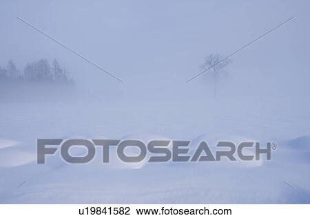 Winter Landscape View Large Photo Image Stock Image - Winter Landscape. Fotosearch
