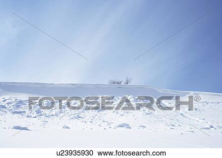 Stock Image - Winter Landscape. Fotosearch