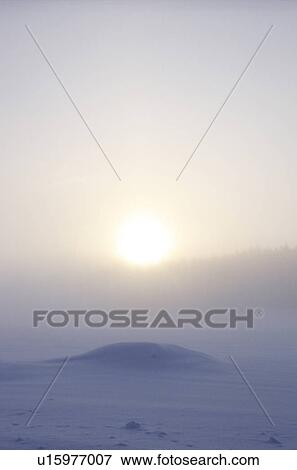Winter Morning View Large Photo Image Stock Photo - Winter Morning. Fotosearch