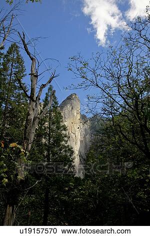 Stock Image - Yosemite National Park. Fotosearch