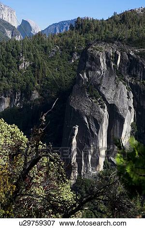 Stock Photo - Yosemite National Park. Fotosearch