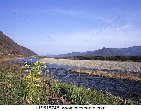Yoshino river, Miyoshi City, Tokushima Prefecture, Japan View Large Photo Image Stock Photo - Yoshino river, Miyoshi City, Tokushima Prefecture, Japan. Fotosearch