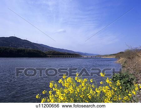 Yoshino river, Miyoshi City, Tokushima Prefecture, Japan View Large Photo Image Stock Photograph - Yoshino river, Miyoshi City, Tokushima Prefecture, Japan. Fotosearch