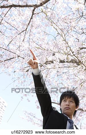 Stock Image - Young Businessman Pointing Under Cherry Blossom Tree. Fotosearch
