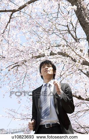 Stock Image - Young Businessman Running Under Cherry Blossom Tree. Fotosearch