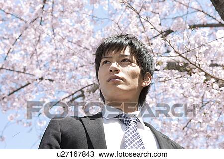 Stock Image - Young Businessman Under Cherry Blossom Tree. Fotosearch