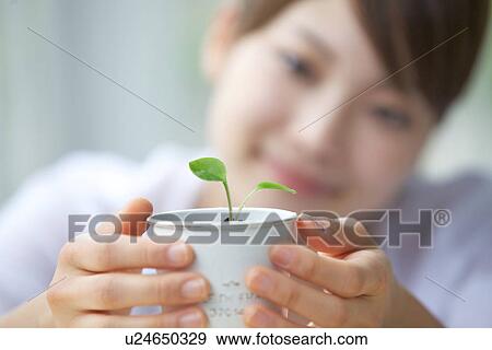 Stock Photo - Young Woman Holding Green Seedling In Pot, Smiling. Fotosearch