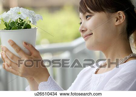 Young Woman Holding Potted White Flowers, Smiling View Large Photo Image Picture - Young Woman Holding Potted White Flowers, Smiling. Fotosearch