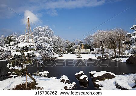 Stock Image - Yukitsuri in Murasakishikibu park. Fotosearch
