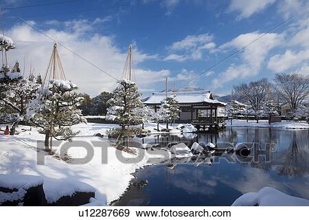 Yukitsuri in Murasakishikibu park View Large Photo Image Stock Photo - Yukitsuri in Murasakishikibu park. Fotosearch