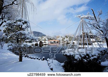 Stock Photo - Yukitsuri in Murasakishikibu park. Fotosearch