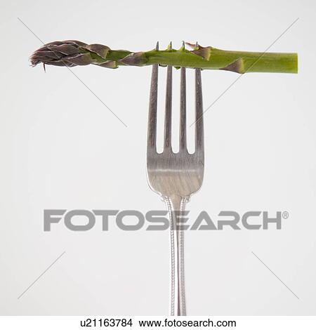 Picture - Asparagus on fork, studio shot. Fotosearch