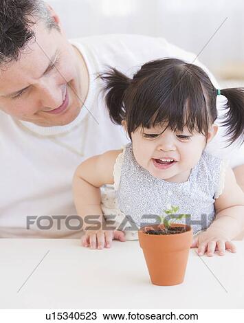 Baby girl (12-17 months) with father watching seedling in pot View Large Photo Image Stock Image - Baby girl (12-17 months) with father watching seedling in pot. Fotosearch