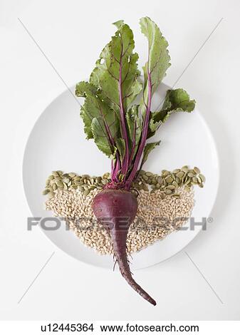 Beetroot and seeds on plate, studio shot View Large Photo Image Picture - Beetroot and seeds on plate, studio shot. Fotosearch