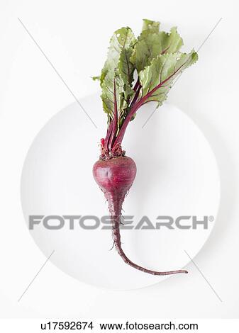 Picture - Beetroots on plate, studio shot. Fotosearch
