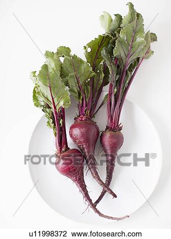 Beetroots on plate, studio shot View Large Photo Image Stock Image - Beetroots on plate, studio shot. Fotosearch