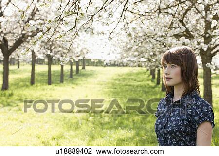 Belgium, Sint-Truiden, Portrait of young woman in spring orchard View Large Photo Image Stock Image - Belgium, Sint-Truiden, Portrait of young woman in spring orchard. Fotosearch