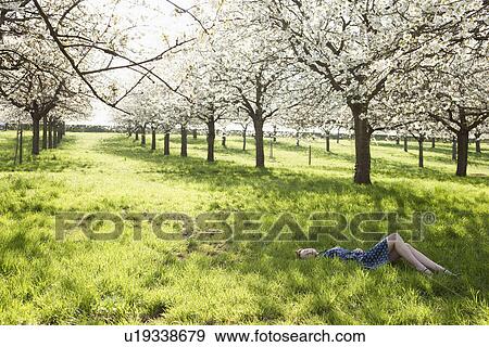 Stock Photo - Belgium, Sint-Truiden, Young woman relaxing in spring orchard. Fotosearch