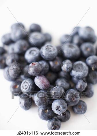 Blueberry heart, studio shot View Large Photo Image Stock Photograph - Blueberry heart, studio shot. Fotosearch