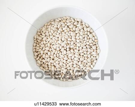 Bowl with seeds inside, studio shot View Large Photo Image Stock Image - Bowl with seeds inside, studio shot. Fotosearch