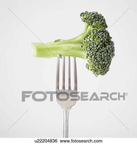 Stock Photograph - Broccoli on fork, studio shot. Fotosearch