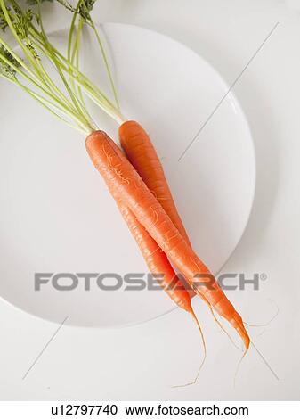 Carrots on plate, studio shot View Large Photo Image Stock Image - Carrots on plate, studio shot. Fotosearch
