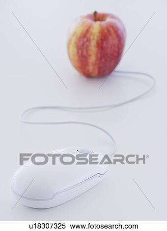Close up of computer mouse and apple, studio shot View Large Photo Image Stock Photography - Close up of computer mouse and apple, studio shot. Fotosearch