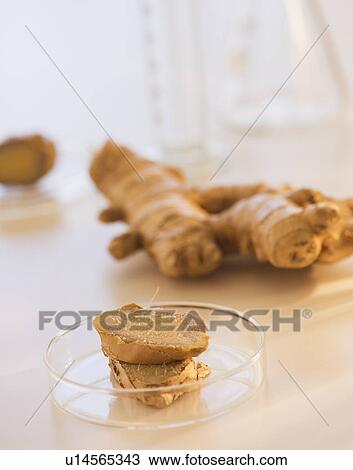 Close up of ginger root in beaker, studio shot View Large Photo Image Stock Image - Close up of ginger root in beaker, studio shot. Fotosearch