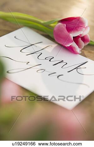 Close-up of greeting card and flower View Large Photo Image Stock Photograph - Close-up of greeting card and flower. Fotosearch