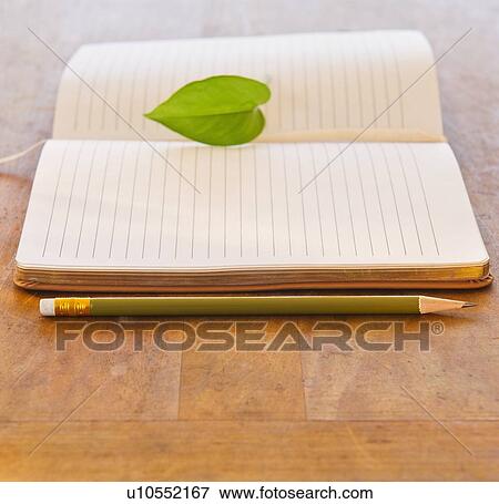 Close up of leaf lying on open notebook, studio shot View Large Photo Image Stock Photo - Close up of leaf lying on open notebook, studio shot. Fotosearch