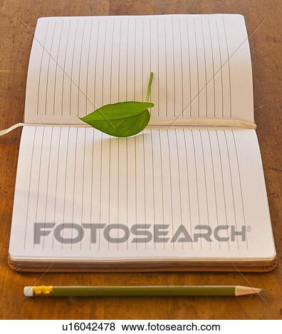 Close up of leaf lying on open notebook, studio shot View Large Photo Image Stock Photo - Close up of leaf lying on open notebook, studio shot. Fotosearch