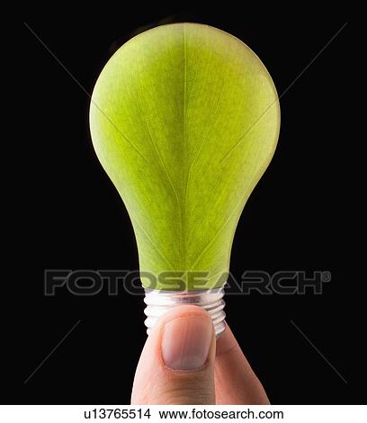 Close-up of light bulb with floral pattern View Large Photo Image Picture - Close-up of light bulb with floral pattern. Fotosearch