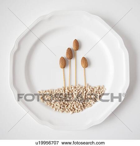 Stock Photo - Composition of seeds, studio shot. Fotosearch