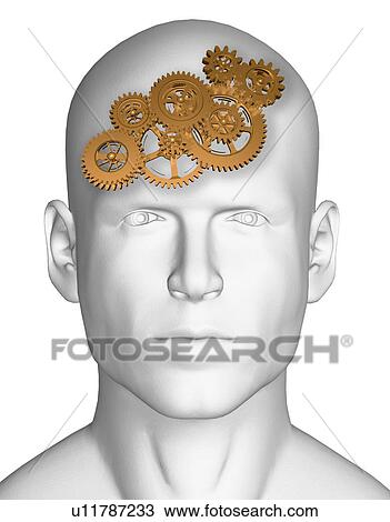 Conceptual image of human brain View Large Photo Image Stock Image - Conceptual image of human brain. Fotosearch