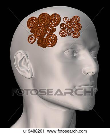 Conceptual image of human brain View Large Photo Image Stock Image - Conceptual image of human brain. Fotosearch