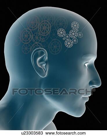 Conceptual image of human brain View Large Photo Image Stock Image - Conceptual image of human brain. Fotosearch