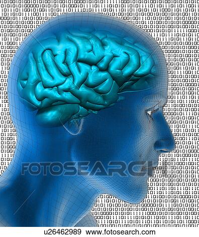 Conceptual image of human brain View Large Photo Image Stock Photo - Conceptual image of human brain. Fotosearch