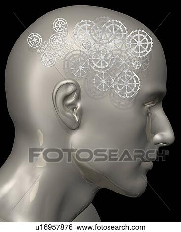 Conceptual image of human brain View Large Photo Image Stock Photograph - Conceptual image of human brain. Fotosearch