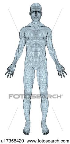 Stock Image - Conceptual image of trans-sexual human body. Fotosearch