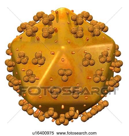 Conceptual image showing human body cell View Large Photo Image Stock Photography - Conceptual image showing human body cell. Fotosearch