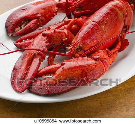 Picture - Cooked lobster. Fotosearch
