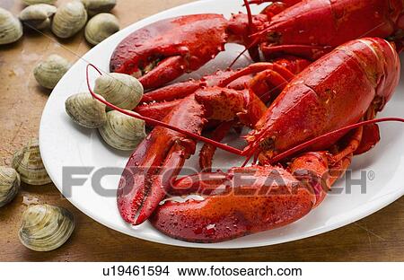 Cooked lobster View Large Photo Image Picture - Cooked lobster. Fotosearch