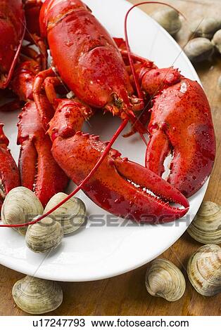 Cooked lobster View Large Photo Image Stock Image - Cooked lobster. Fotosearch