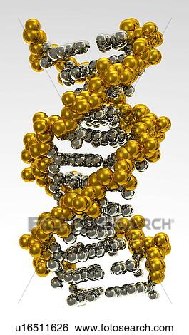 Digitally generated image of helix structure View Large Photo Image Stock Photograph - Digitally generated image of helix structure. Fotosearch