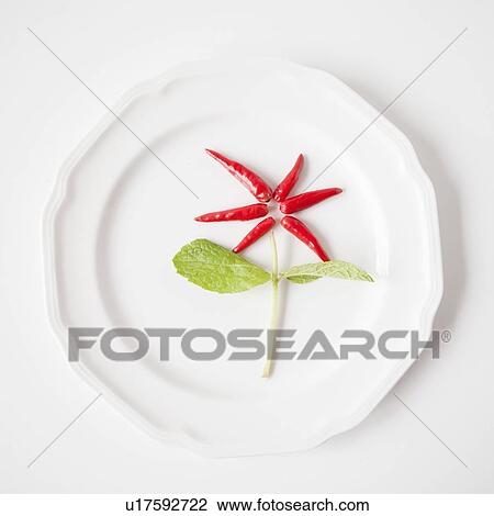 Flower on plate made out of food, studio shot View Large Photo Image Stock Image - Flower on plate made out of food, studio shot. Fotosearch