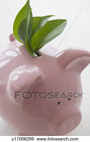 Stock Photo - Fresh leaves in piggy bank. Fotosearch