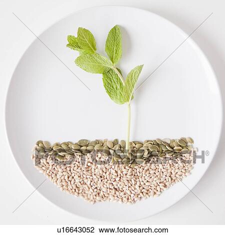 Landscape on plate made out of food, studio shot View Large Photo Image Stock Image - Landscape on plate made out of food, studio shot. Fotosearch
