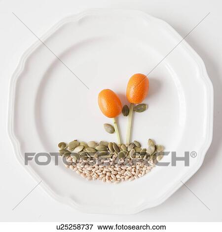 Stock Photo - Landscape on plate made out of food, studio shot. Fotosearch