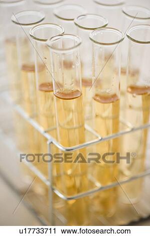 Liquid in test tubes View Large Photo Image Stock Image - Liquid in test tubes. Fotosearch